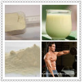 high quality hot sell Custom paper whey protein packaging